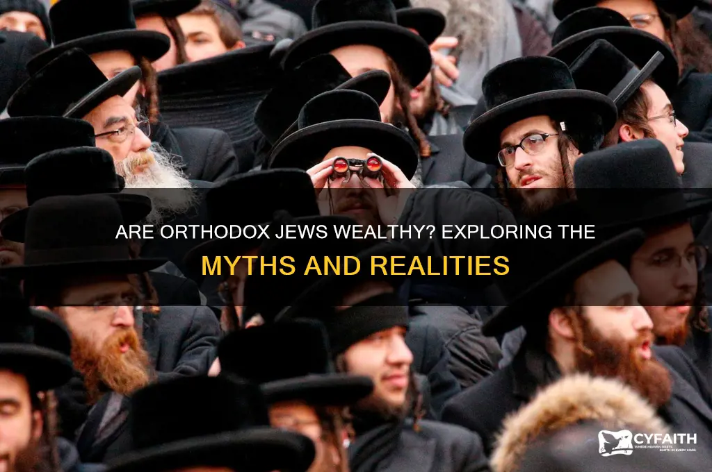 are orthodox jewish rich