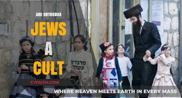 Orthodox Judaism: Cult or Misunderstood Faith? Exploring the Truth