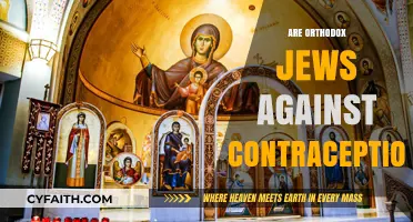 Orthodox Jewish Views on Contraception: Beliefs, Practices, and Controversies