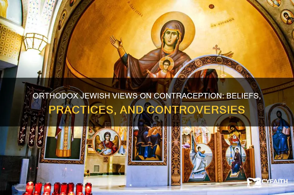 are orthodox jews against contraception