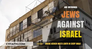 Orthodox Jews and Israel: Understanding Complex Relationships and Perspectives