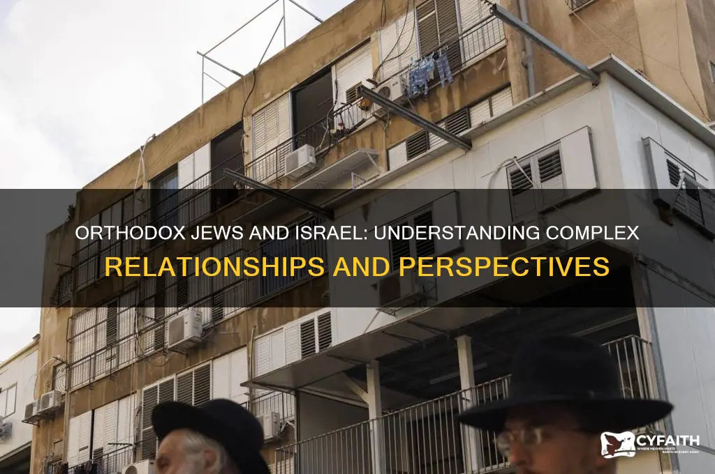 are orthodox jews against israel