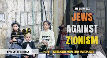 Orthodox Jews and Zionism: Historical Tensions and Diverse Perspectives Explored