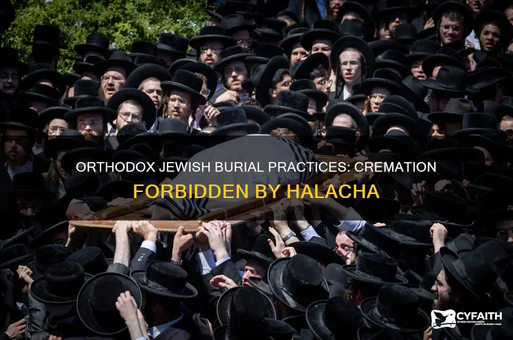 are orthodox jews allowed to cremate bodies
