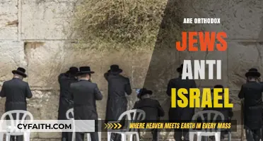 Orthodox Jews and Israel: Debunking Misconceptions About Their Stance
