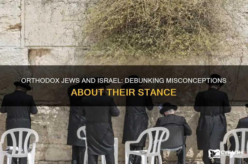 are orthodox jews anti israel