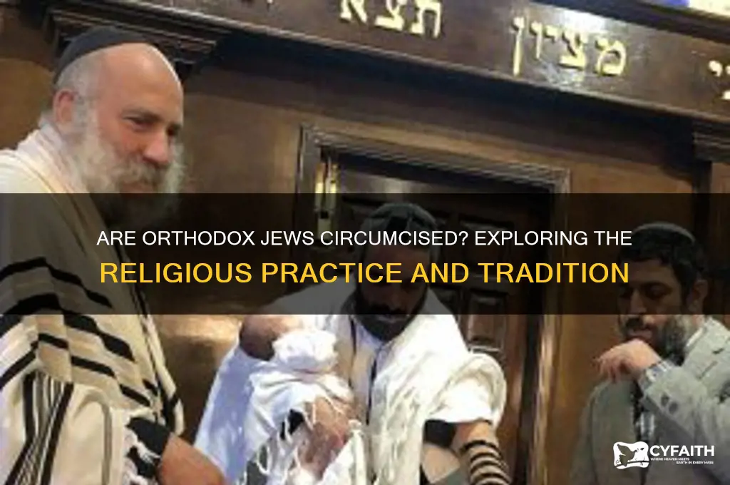 are orthodox jews circumcised