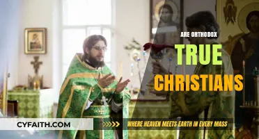 Are Orthodox Christians Truly Following Christ's Teachings?
