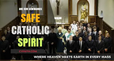 The Catholic Spirit: Are Our Seminaries Safe?