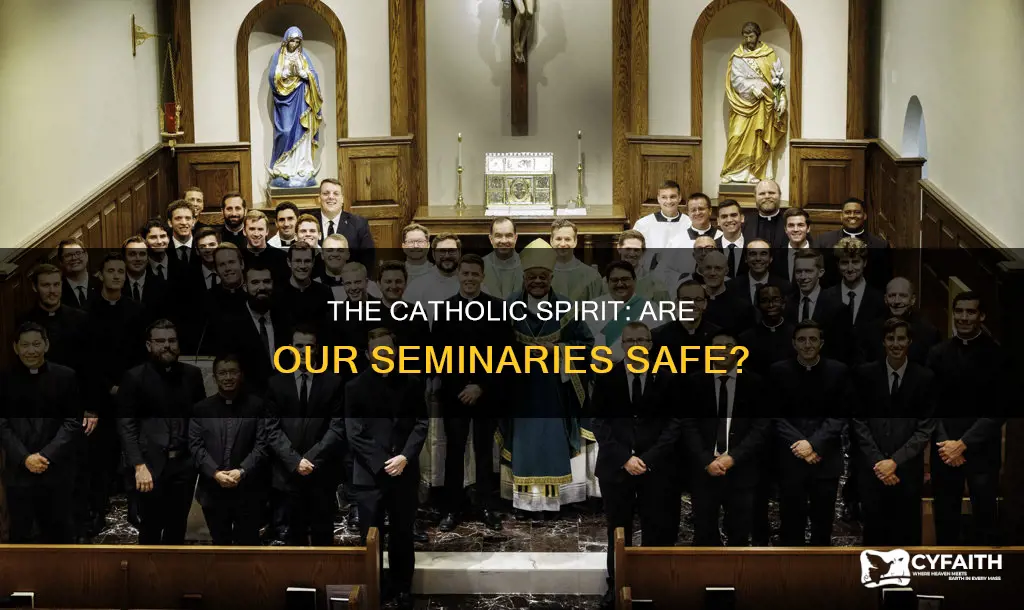are our seminaries safe catholic spirit