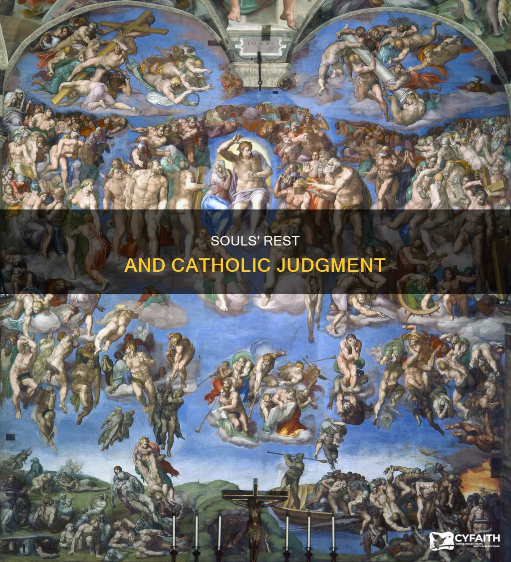are our souls at rest before judgement catholic