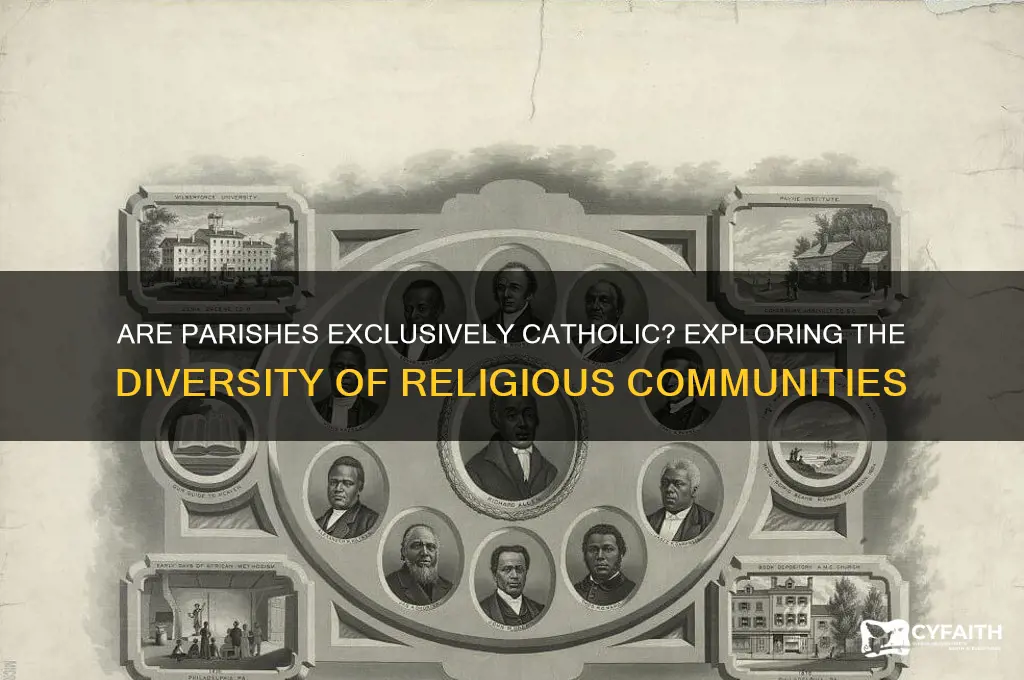 are parish only catholic