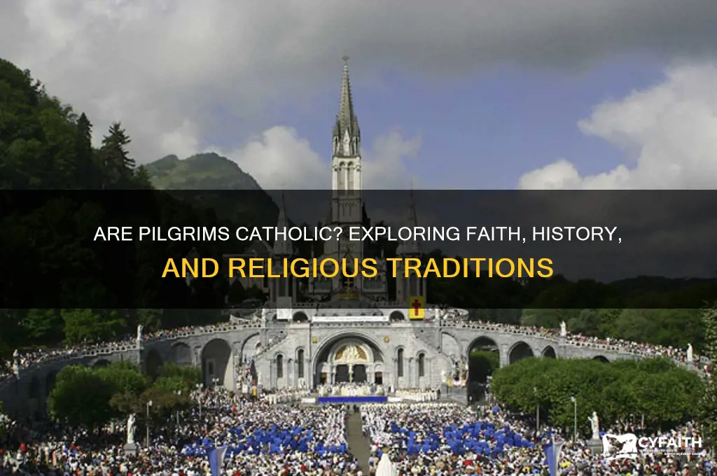are pilgrims catholic