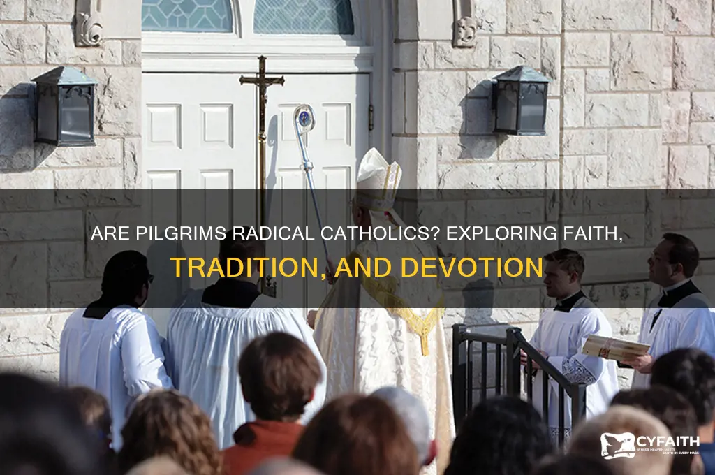 are pilgrims radical catholic