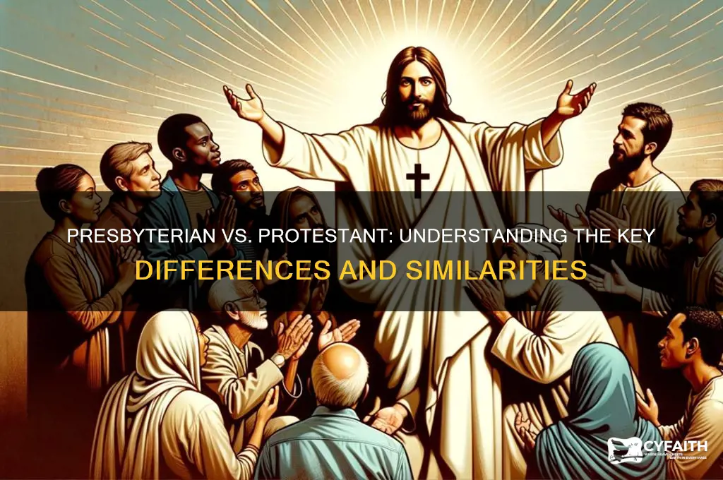 are presbyterian and protestant the same