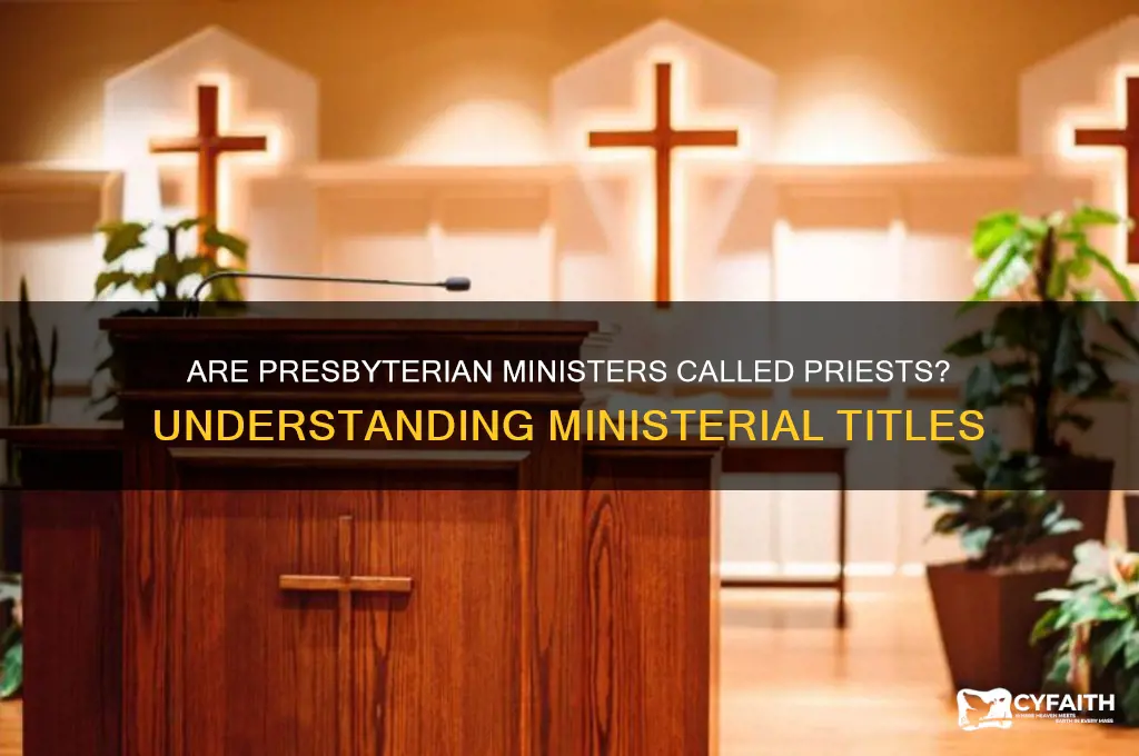 are presbyterian ministers called priests