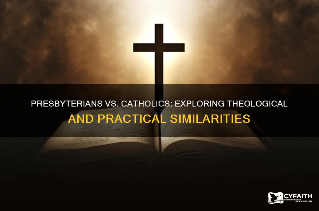 are presbyterians and catholic alike