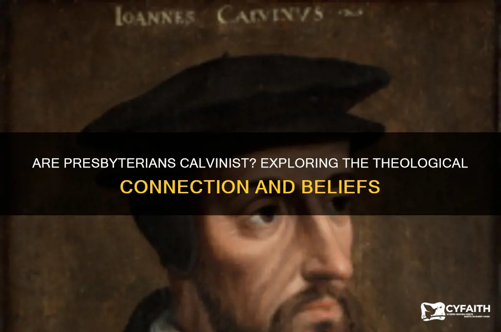 are presbyterians calvinist