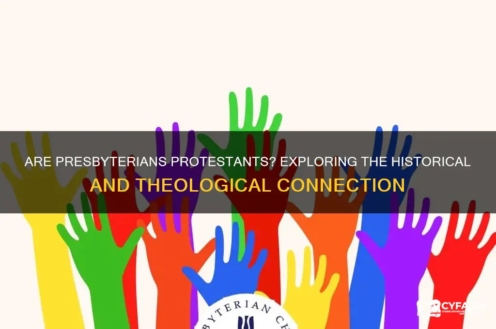 are presbyterians protestants