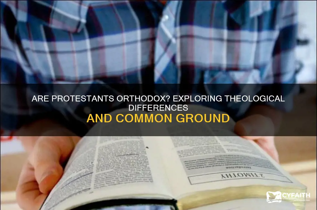 are protestants orthodox