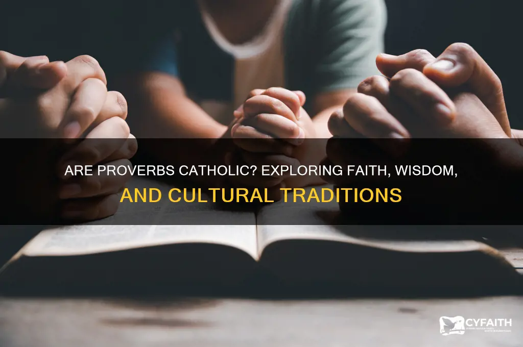 are proverbs catholic