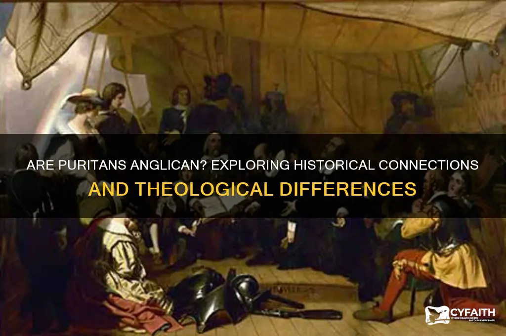 are puritans anglican