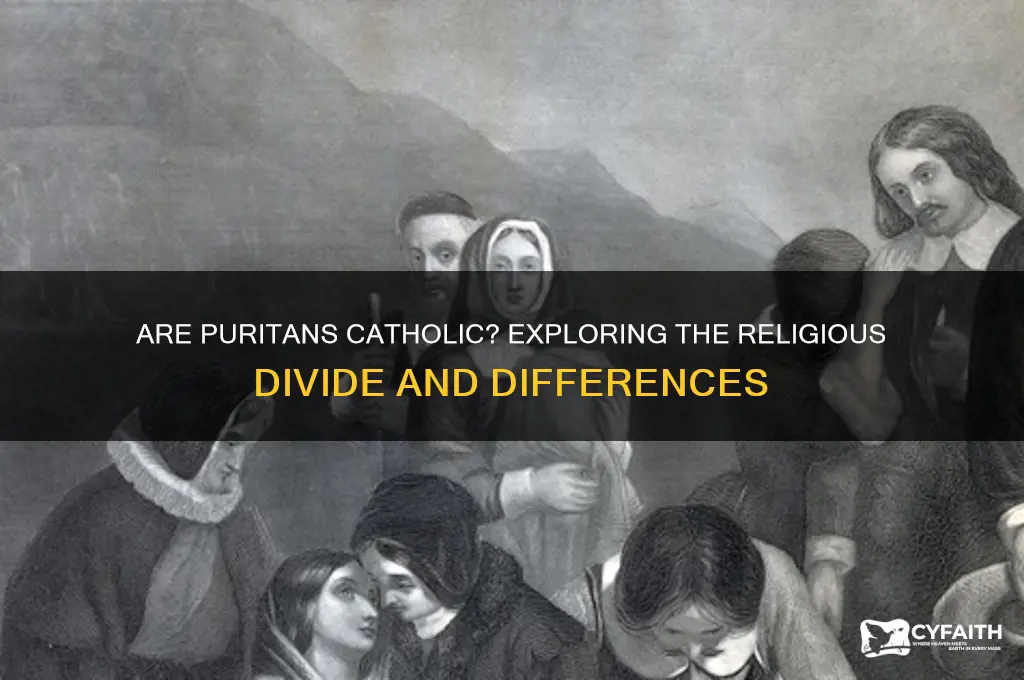 are puritans catholic