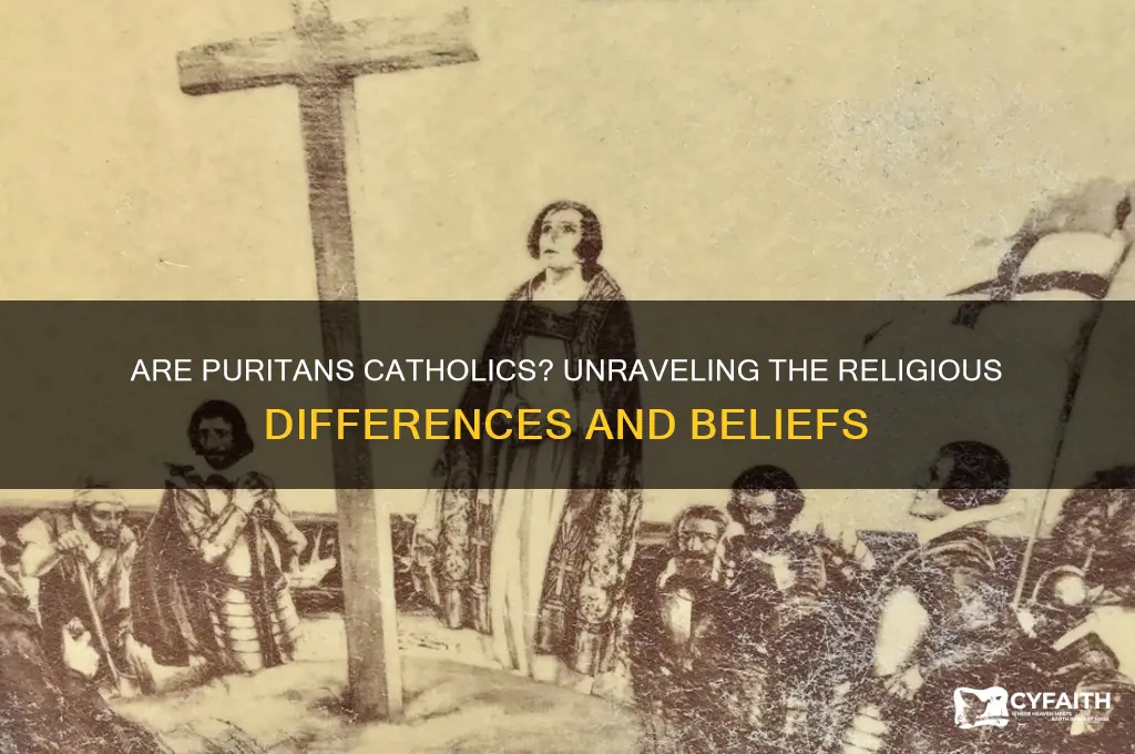 are puritans catholics