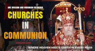 Russian and Ukrainian Orthodox Churches: Are They Still in Communion?