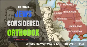 Are Russian Jews Orthodox? Exploring Religious Identity and Practices