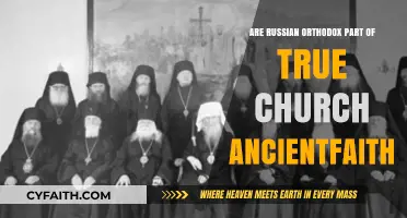 Is the Russian Orthodox Church Part of the Ancient True Faith?