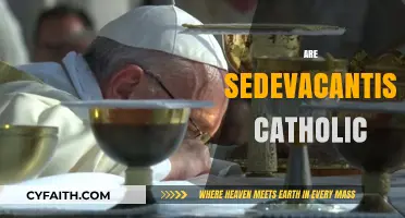 Are Sedevacantists Catholic? Exploring the Theological Divide and Identity