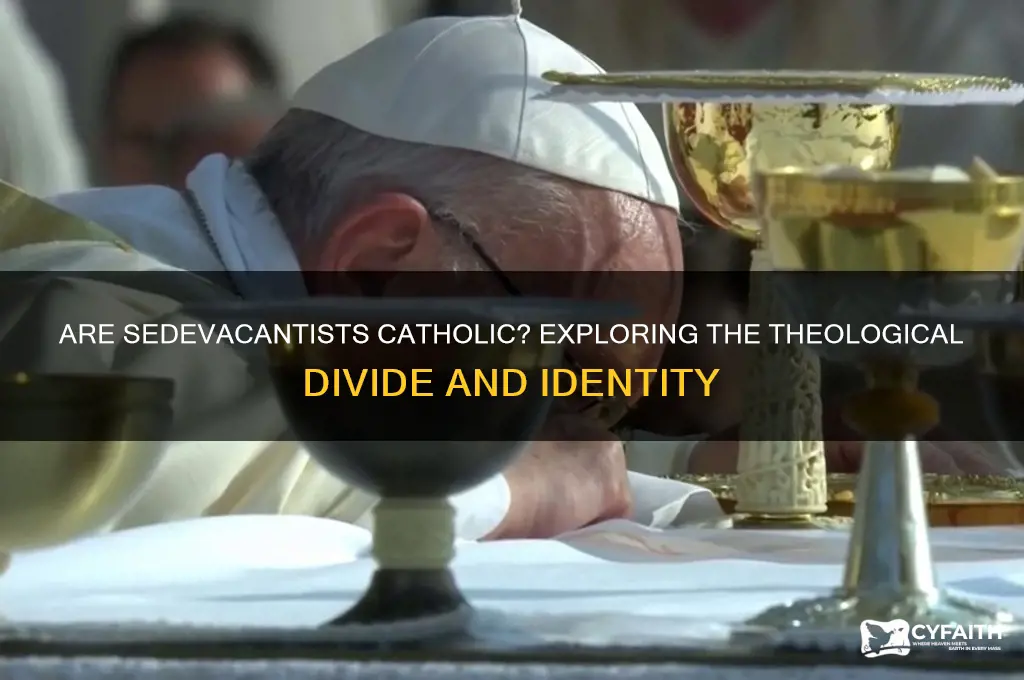 are sedevacantists catholic