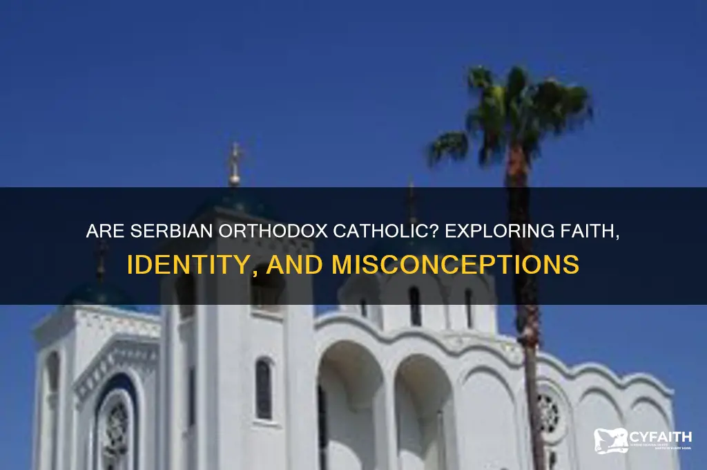 are serbian orthodox catholic