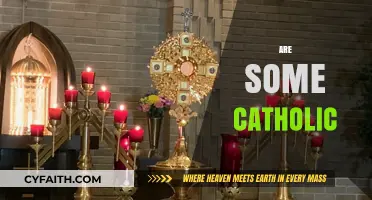 Are Some Catholic Practices Misunderstood? Exploring Faith and Tradition