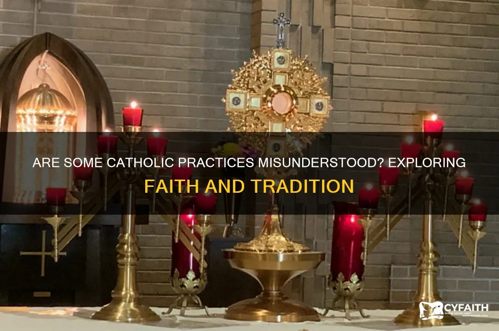 are some catholic