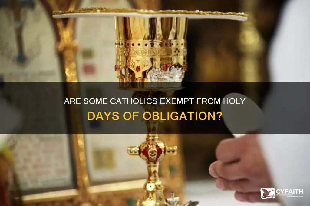 are some catholics exempt from holy days of obligation