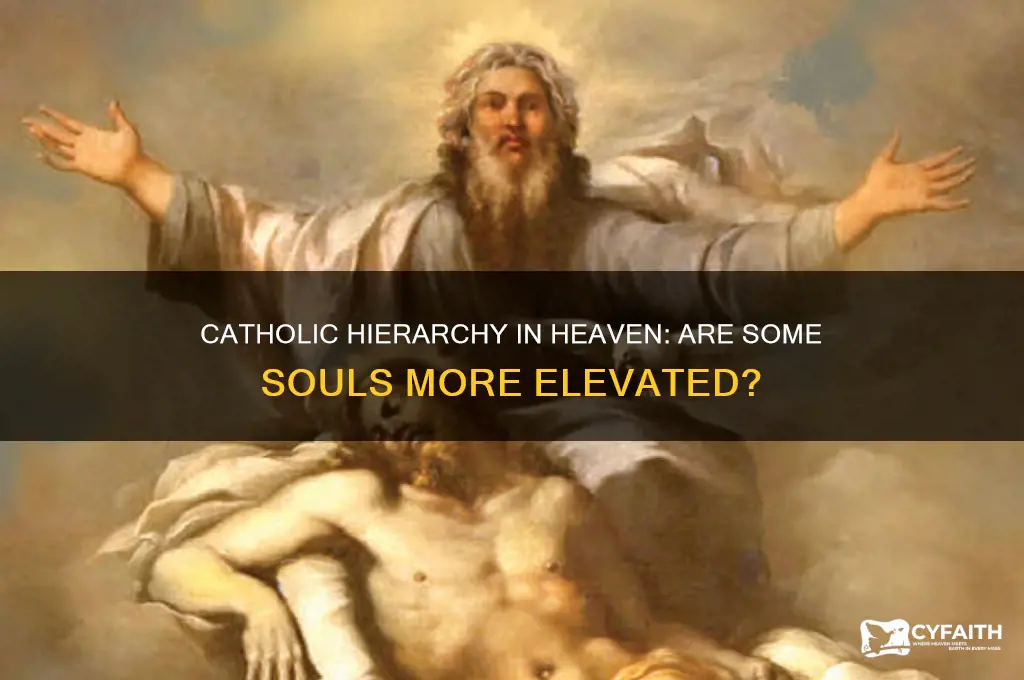 are some people in heaven higher than others catholic