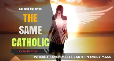 Soul and Spirit: Catholic Perspective