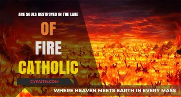 Catholic Doctrine: Souls' Fate in the Lake of Fire Explored