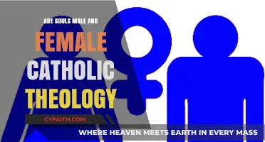 Souls and Gender: Catholic Theology Explained