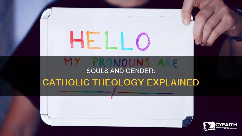 are souls male and female catholic theology