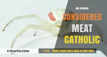 Are Spiders Meat for Catholics? Exploring Religious Dietary Practices