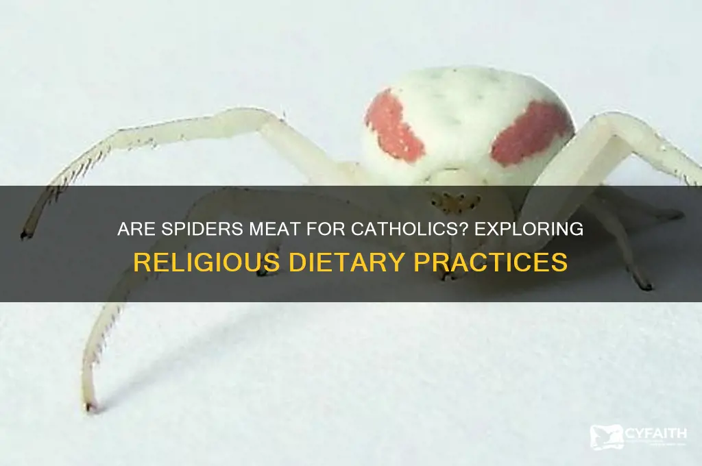 are spiders considered meat catholic
