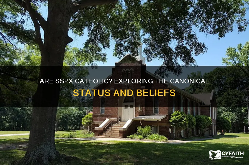 are sspx catholic