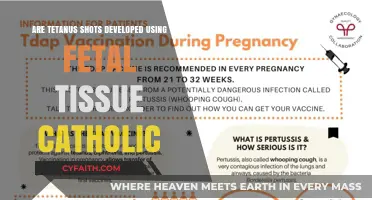 Fetal Tissue in Vaccines: Catholic Bioethics Perspective