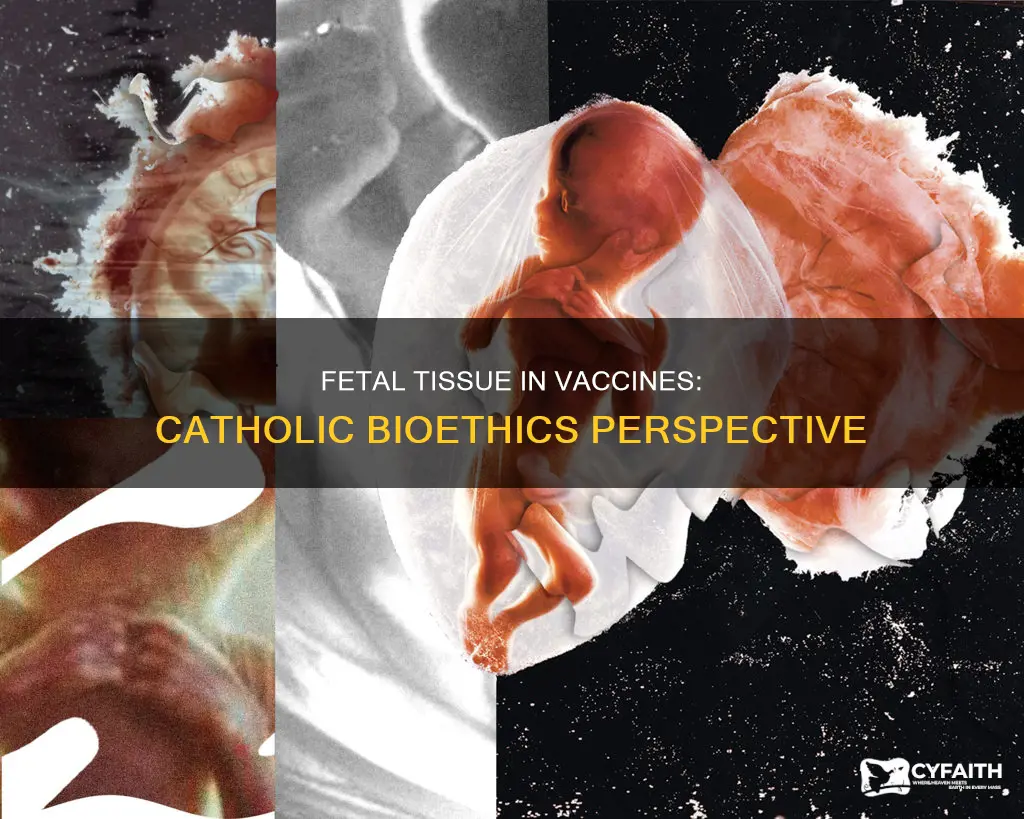 are tetanus shots developed using fetal tissue catholic