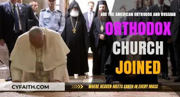 Are American and Russian Orthodox Churches United? Exploring the Relationship