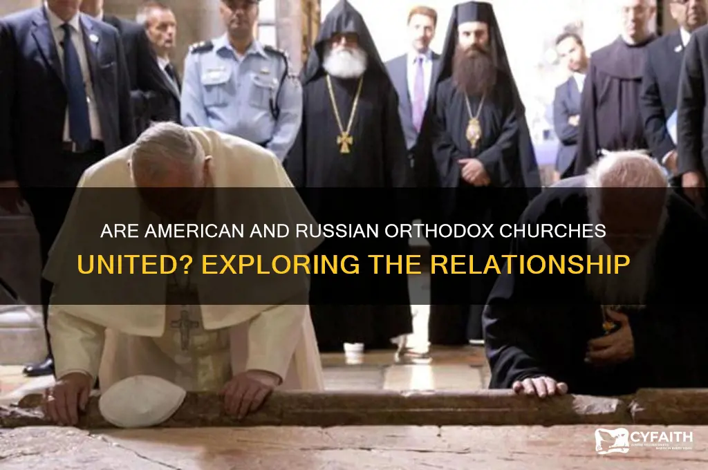 are the american orthodox and russian orthodox church joined