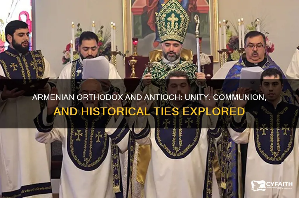 are the armenian orthodox in communion with antioch